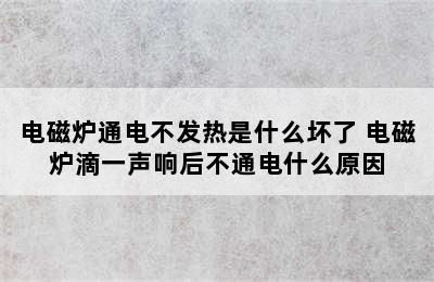 电磁炉通电不发热是什么坏了 电磁炉滴一声响后不通电什么原因